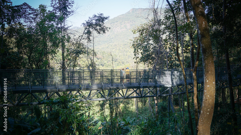 A new attraction in Chiang Mai. Canopy walkway, Queensrikit gard