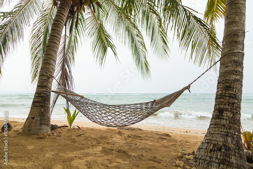 palm trees and hammock on the beach