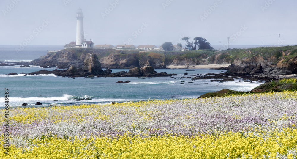 Pigeon Point Lighthouse with Spring wildflowers. Pescadero, San Mateo County, California, USA.