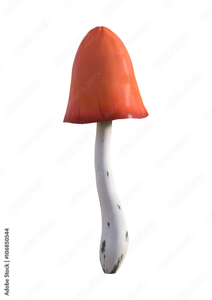 3D Illustration Mushroom on White