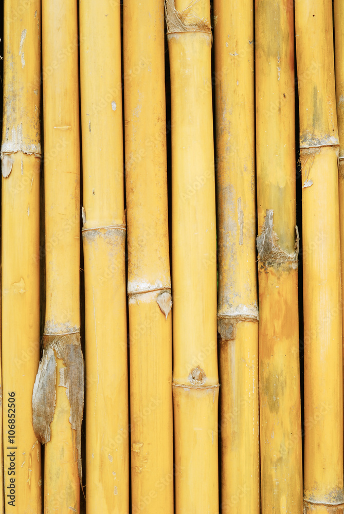 Bamboo wall house pattern background Bamboo wall house pattern background