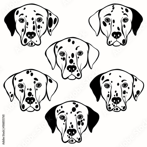 Vector set of  dalmatian's face. Hand-drawn vector illustration.