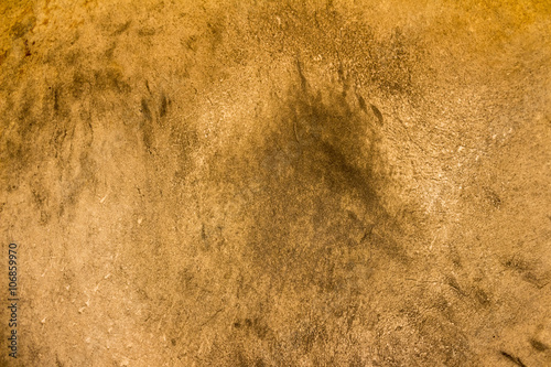 Old drumhead background.