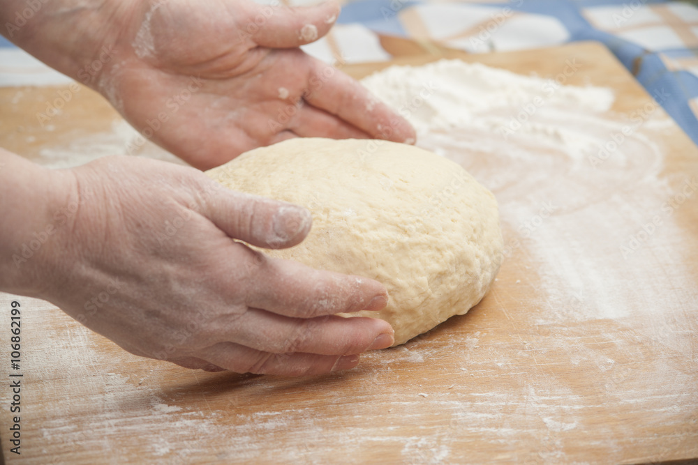 Ball of pizza dough Ball of pizza dough
