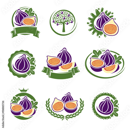 Figs labels and elements set. Vector