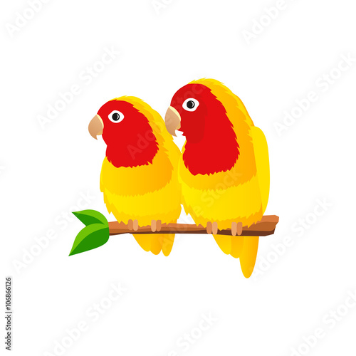 Pair of parrots lovebirds on white background