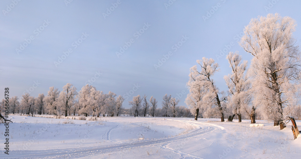 Obraz premium winter day