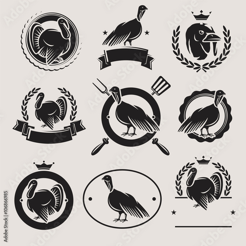 turkey labels and elements set. Vector