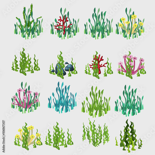 Icons grass with colorful flowers and coral