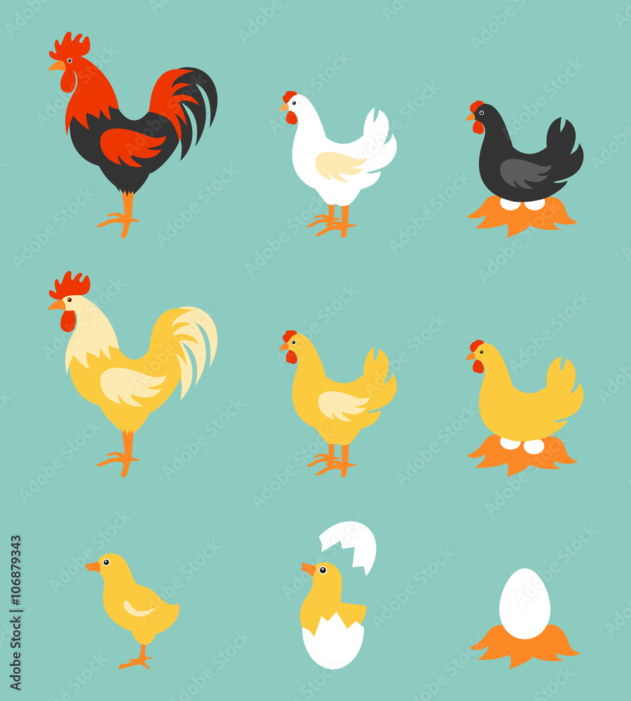 Fototapeta premium Colorful farm birds collection.