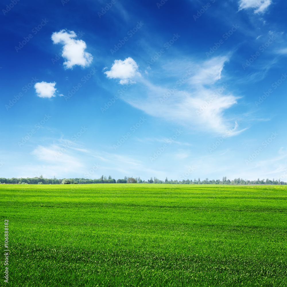 Obraz premium green field and clouds on blue sky