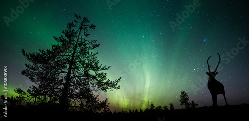 A beautiful green and red aurora dancing