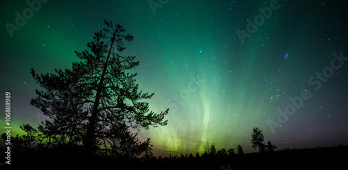 A beautiful green and red aurora dancing