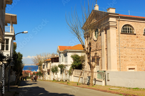 luxury and elegant wooden mansion houses in island