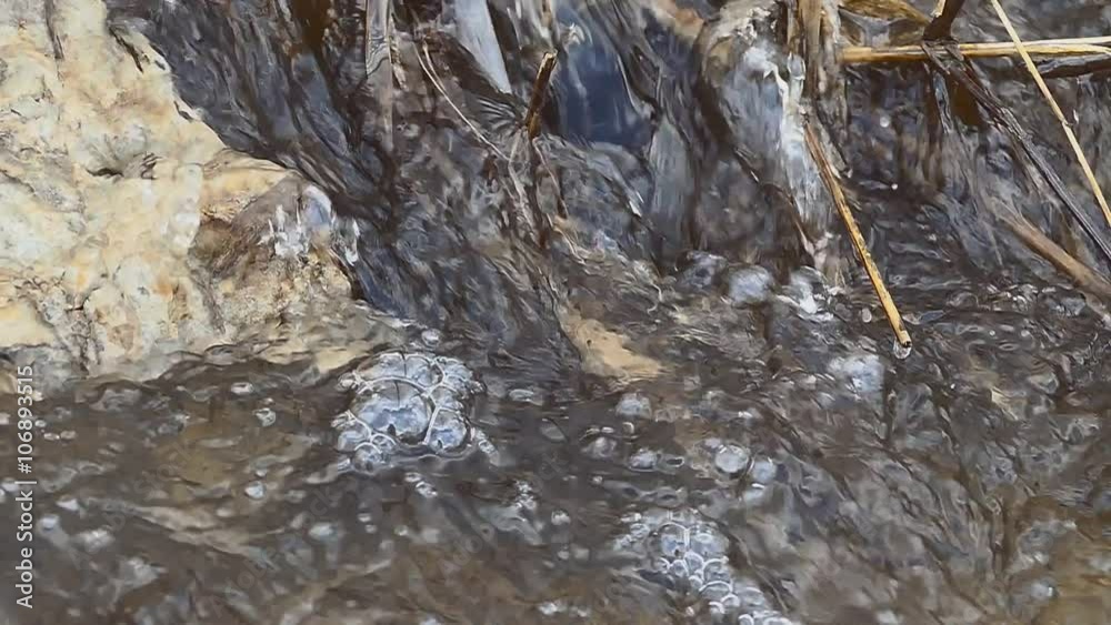 dry twigs grass flowing twig waterfall nature water boils dry reeds landscape dry twigs grass flowing twig waterfall nature water boils dry reeds landscape
