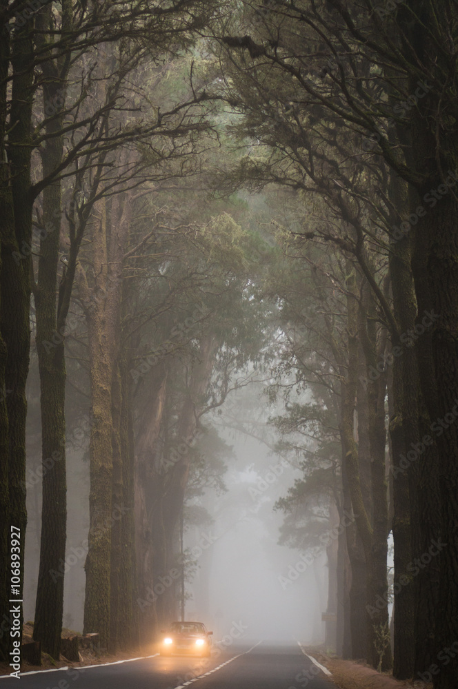 Obraz premium Car drive through clouds