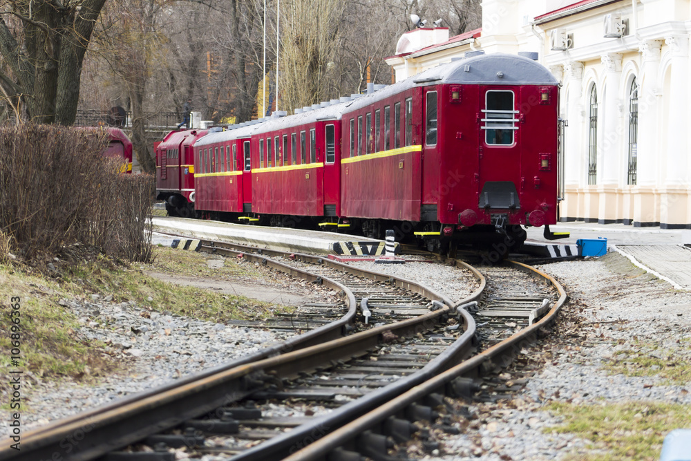 Naklejka premium Railroad small train. Horizontal shot, topic - railway transport.