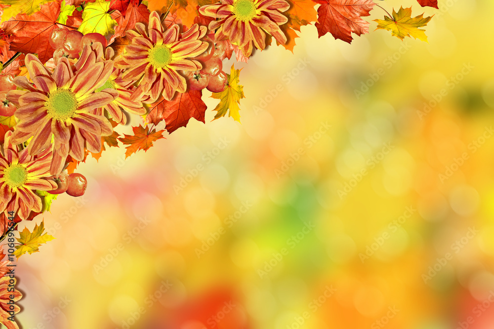 abstract background of autumn leaves abstract background of autumn leaves