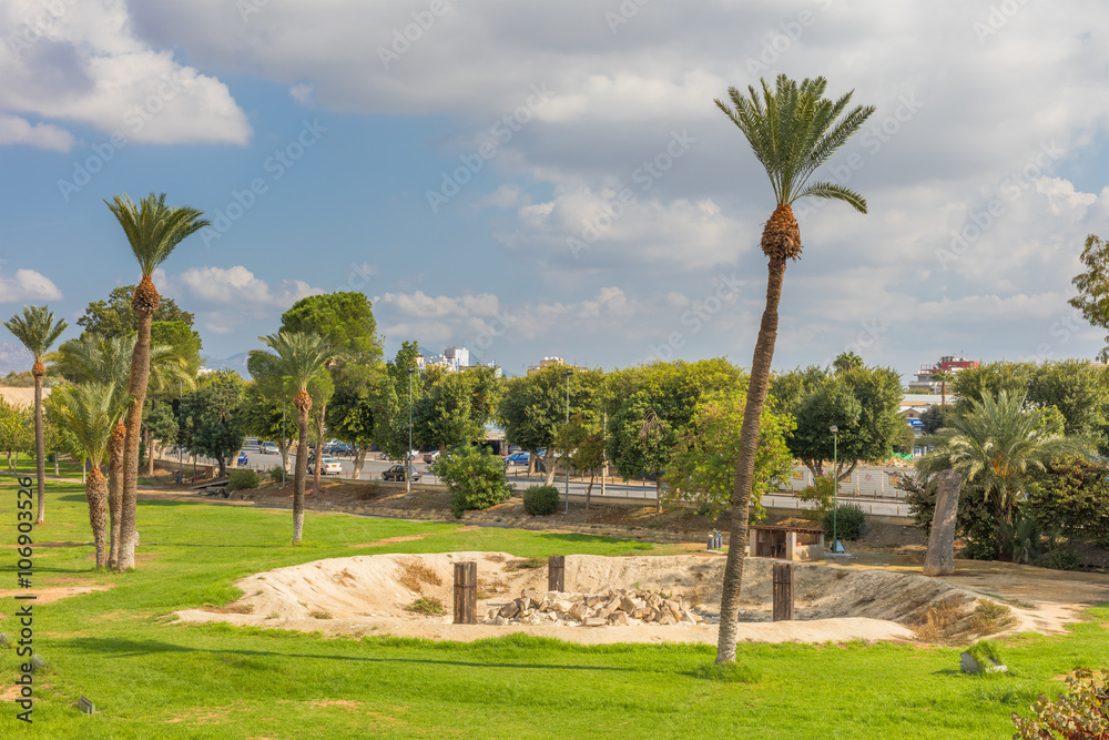 City park with palm trees