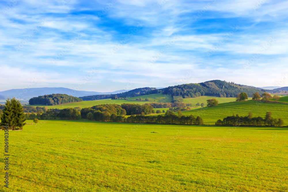 Spring beautiful landscape