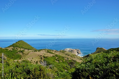 Coastal view onto the Muelle de las Almas with a clear blue sky and green hills © mandy2110