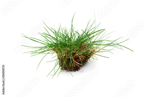 Mutterboden Rasen