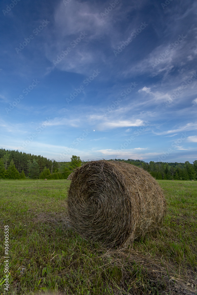 Hay Bales