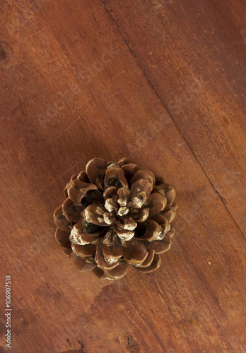 Photo of large pine cone on dark wooden texture