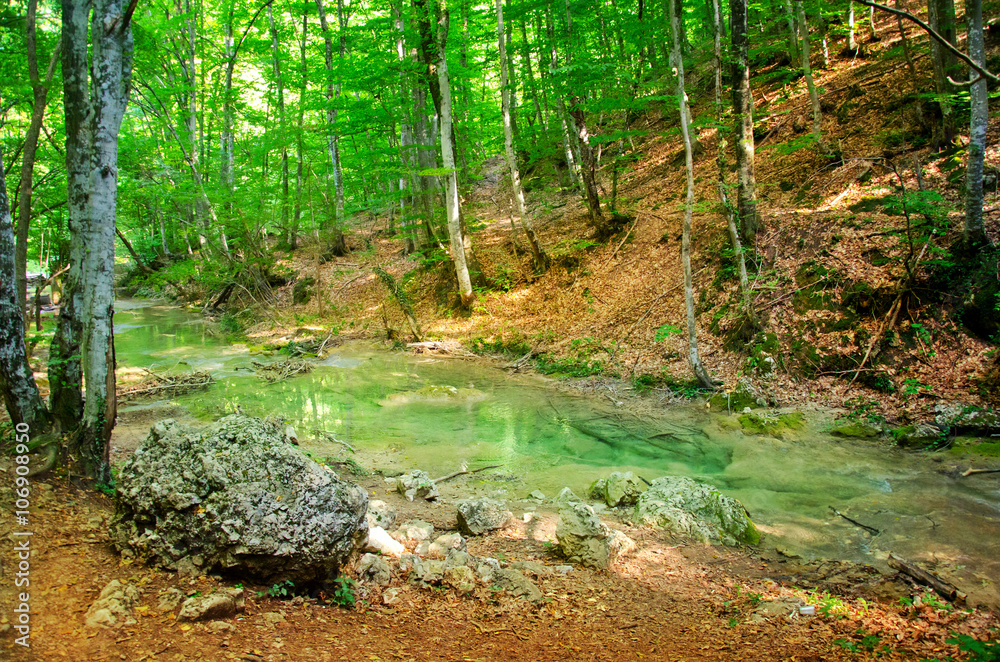 Fototapeta premium river