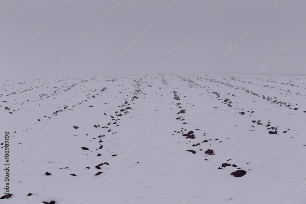 Winter landscape Winter landscape