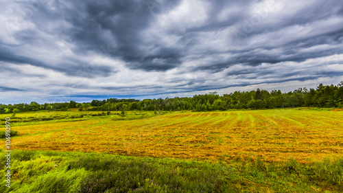 scenic view of rural countryside