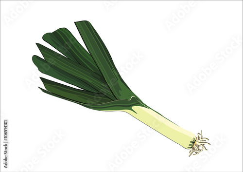 leek