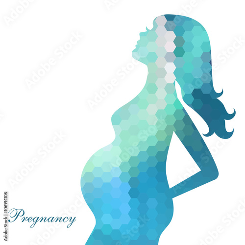 Pregnant woman Icon - Isolated On White Background