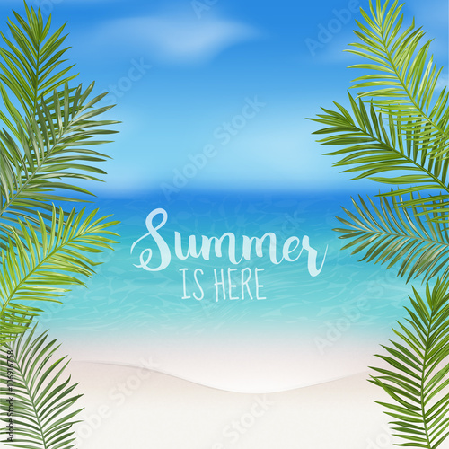 Tropical Background. Palm Leaves. Sea View Background. 