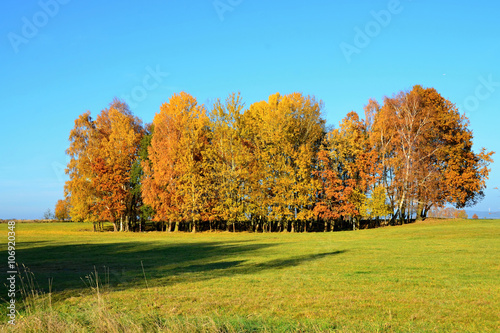 Autumn meadow in the Czech Republic 2015 