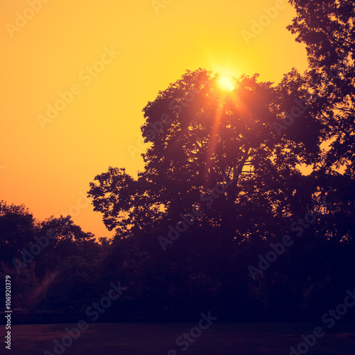 orange sky with setting sun and silhouetted trees