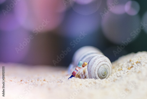 Obraz na płótnie Liebe am Strand w salonie