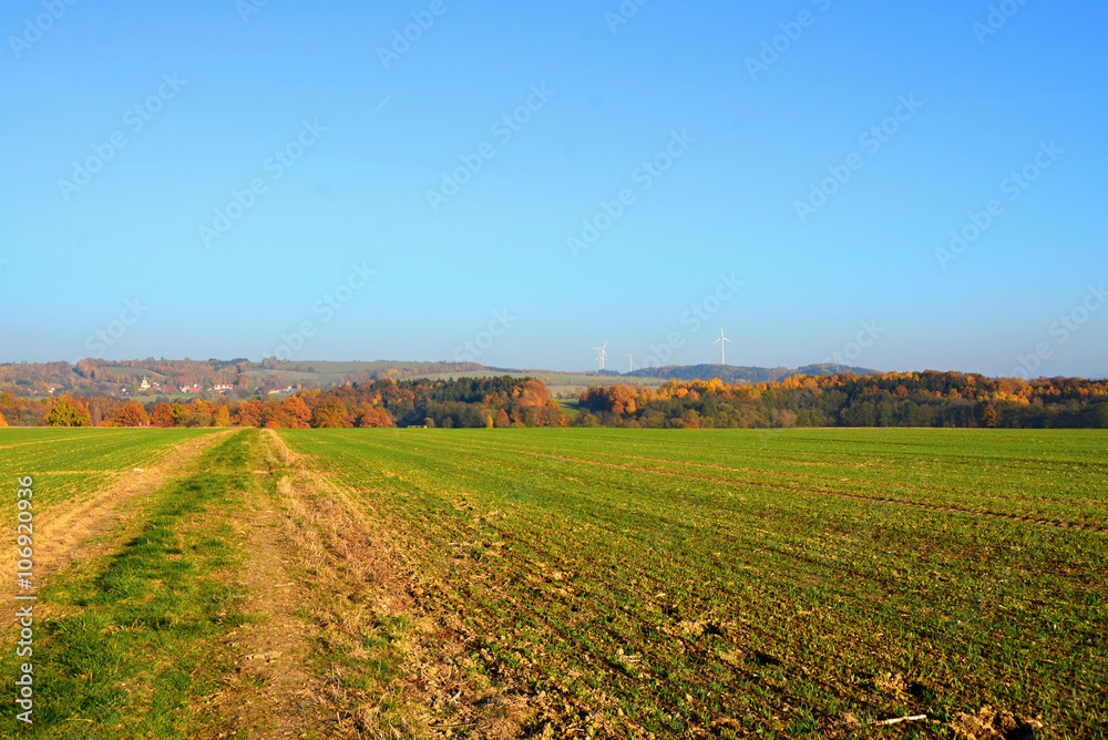 Autumn  meadow in the Czech Republic 2015
