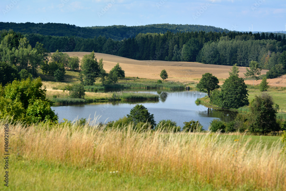 Summer landscape with fields and lake Summer landscape with fields and lake