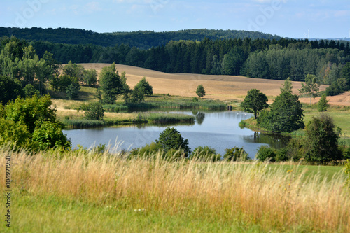 Summer landscape with fields and lake