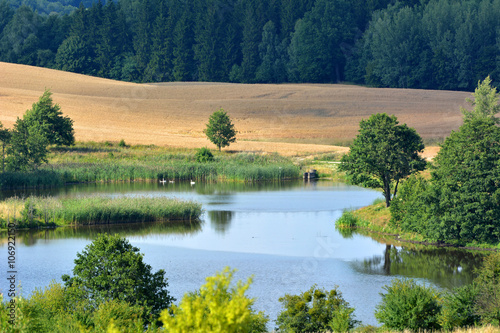 Summer landscape with fields and lake