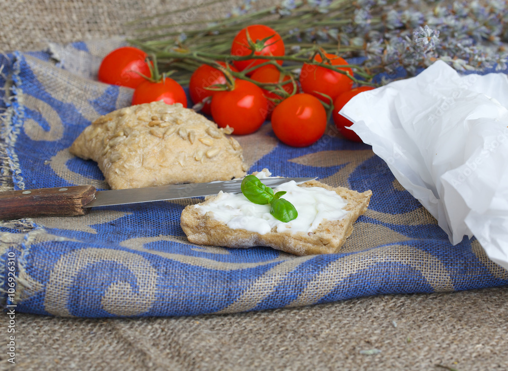 A piece of bread with stracchino cheese. Closeup A piece of bread with stracchino cheese. Closeup