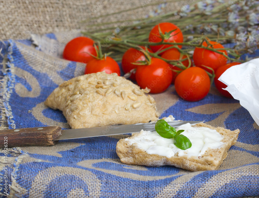 A piece of bread with stracchino cheese. Closeup A piece of bread with stracchino cheese. Closeup