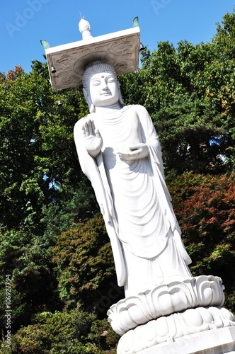 Photography Bongeunsa