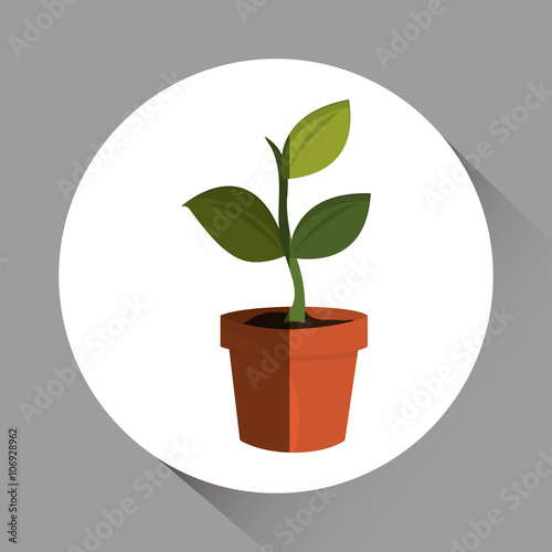 Natural and eco design, vector illustration