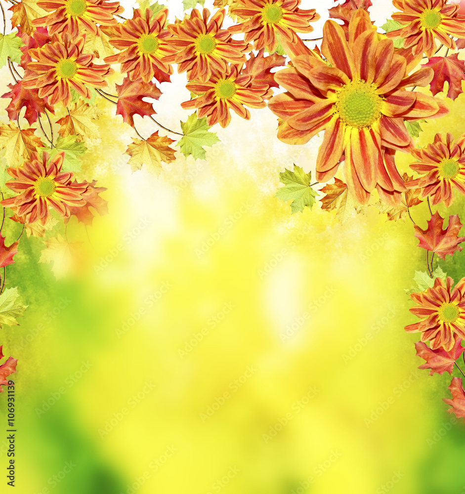 Autumn foliage. Golden Autumn. Autumn foliage. Golden Autumn.