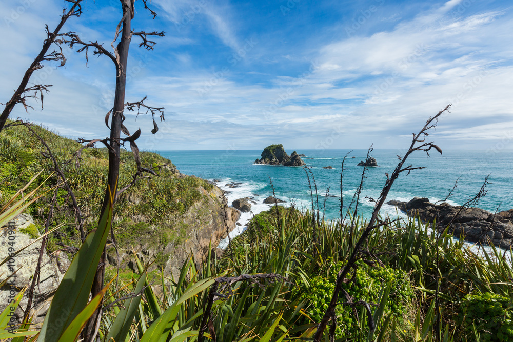Coastal view in Cape Foulwind, New Zealand Coastal view in Cape Foulwind, New Zealand