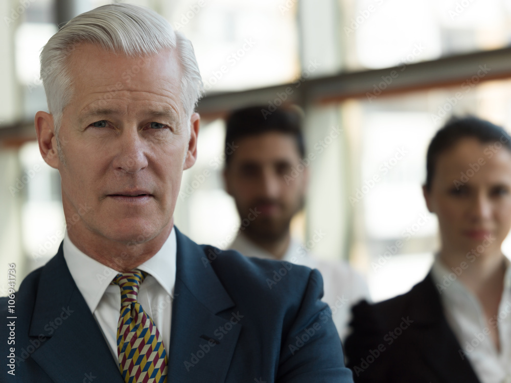portrait of senior businessman as leader with staff in backgrou portrait of senior businessman as leader with staff in backgrou