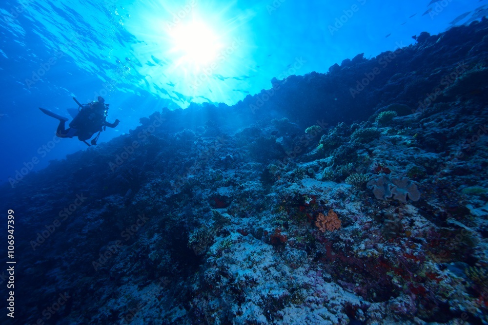 Fototapeta premium サンゴとダイバー