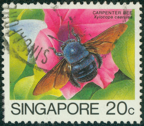 stamp printed in Singapore shows carpenter bee